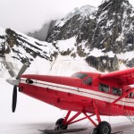 Piper Cub